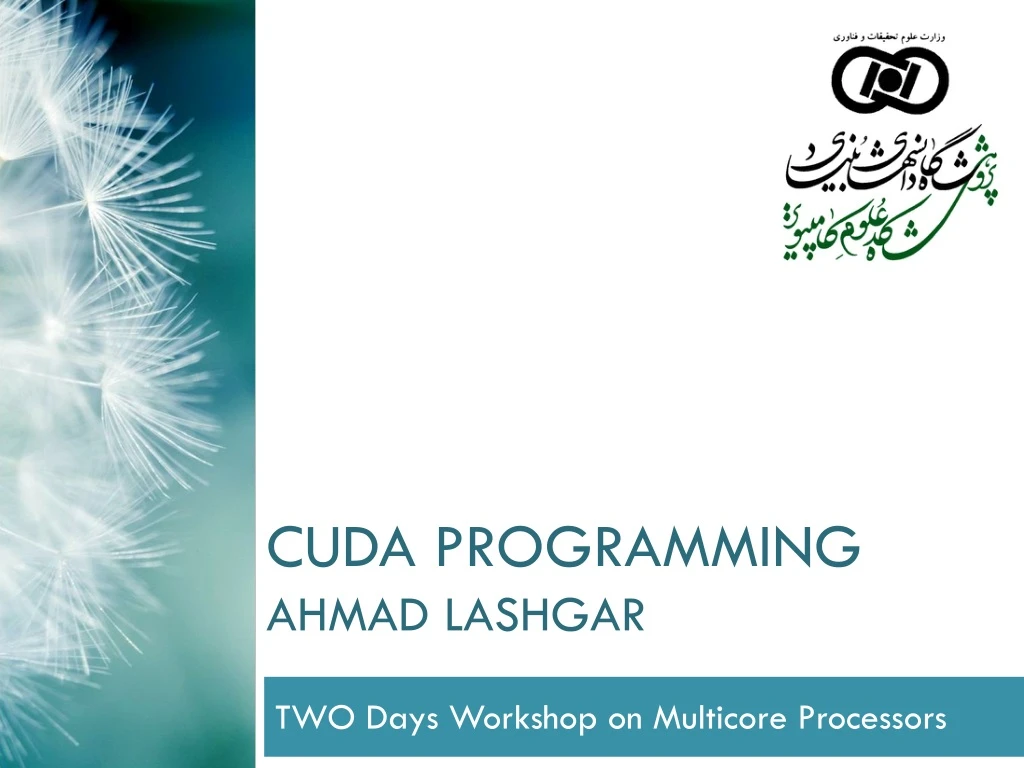 cuda programming ahmad lashgar