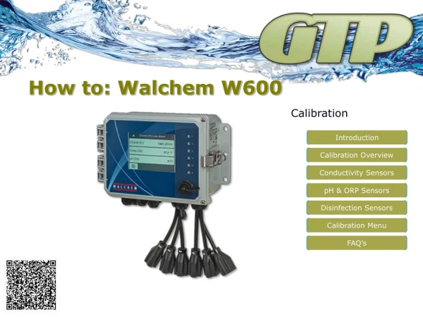 How to: Walchem W600