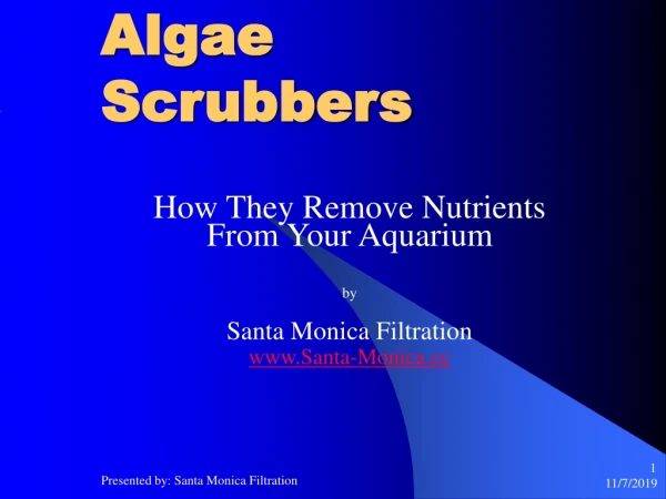 Algae Scrubbers