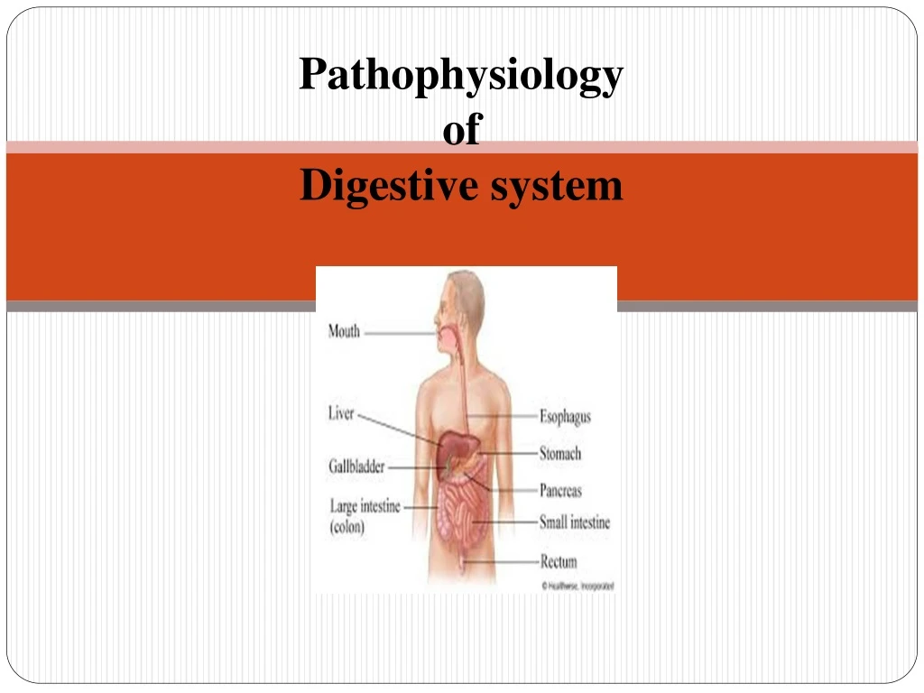 pathophysiology of digestive system