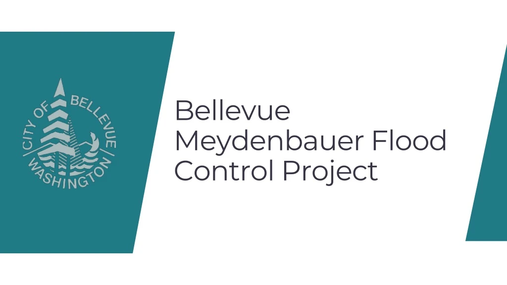 bellevue meydenbauer flood control project