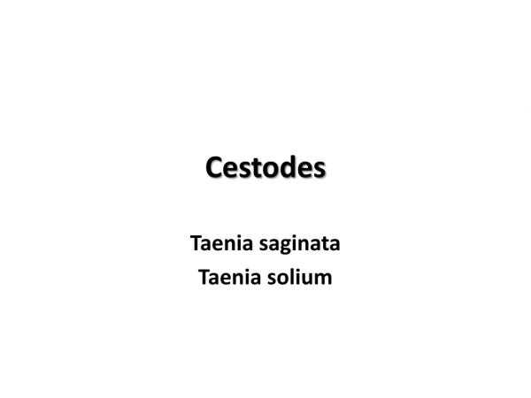 Cestodes