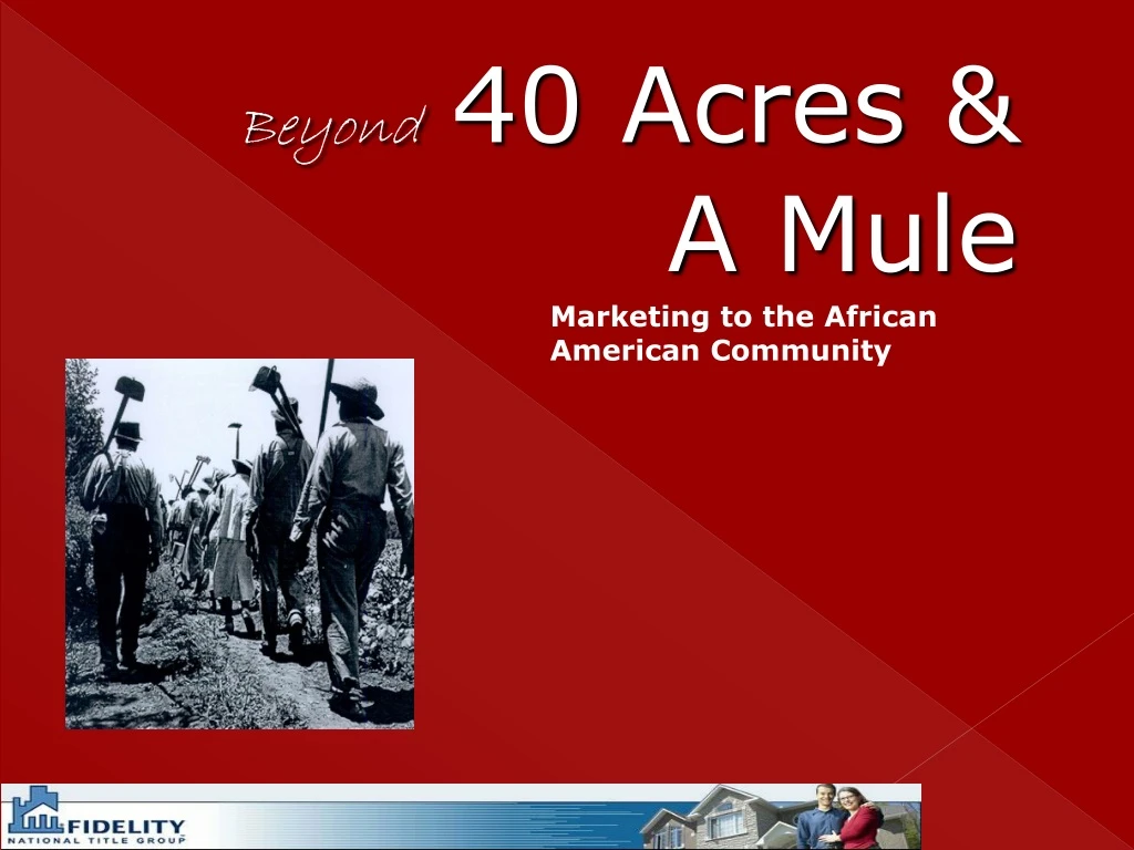 beyond 40 acres a mule