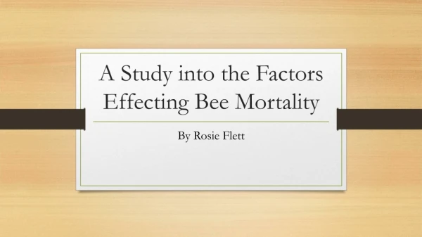 A Study into the Factors Effecting Bee Mortality