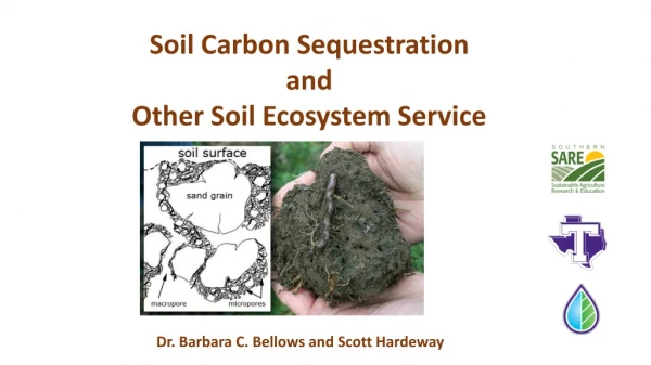 Soil Carbon Sequestration and Other Soil Ecosystem Service