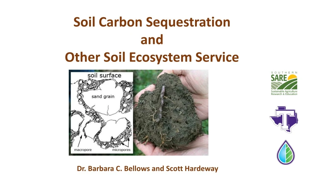soil carbon sequestration and other soil