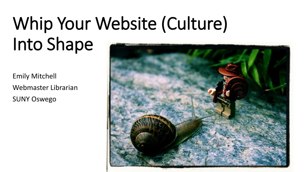 whip your website culture into shape