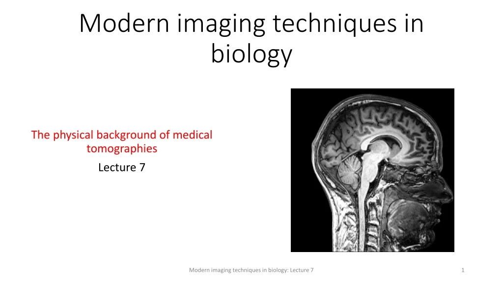 modern imaging techniques in biology
