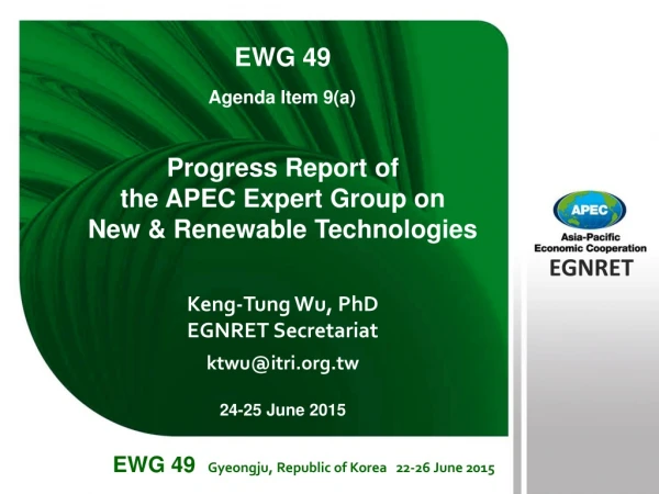 Progress Report of the APEC Expert Group on New &amp; Renewable Technologies