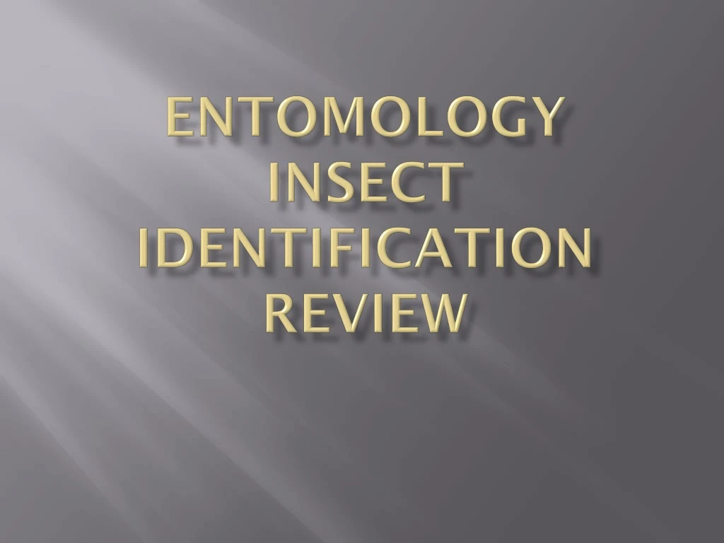 entomology insect identification review
