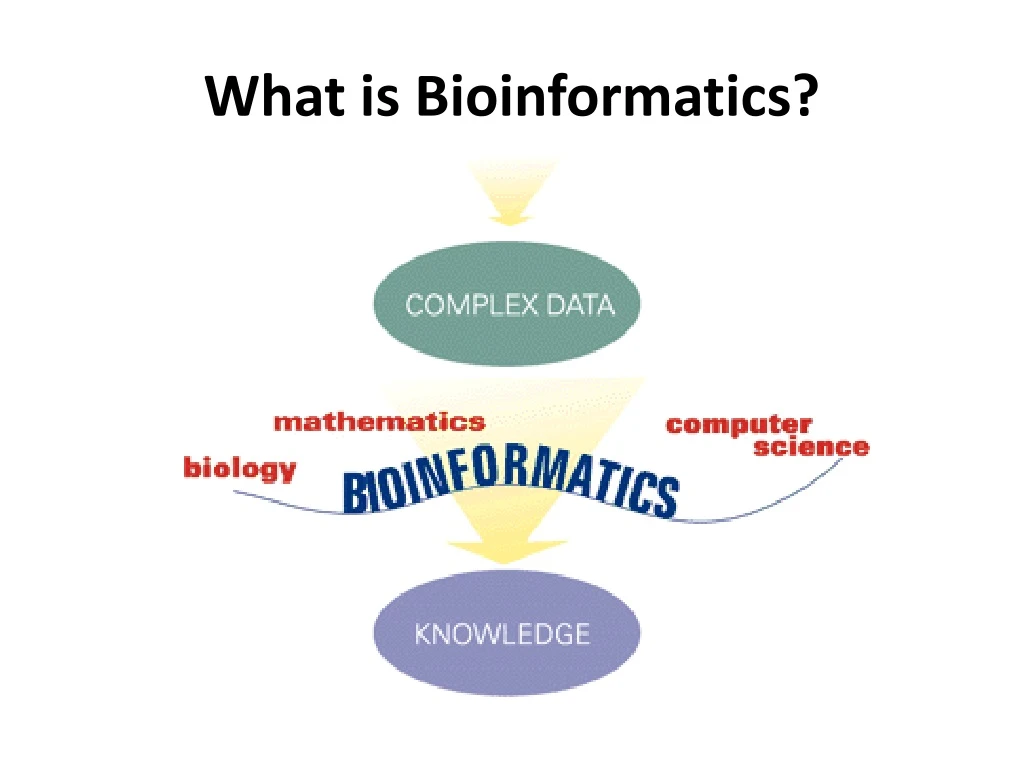 what is bioinformatics