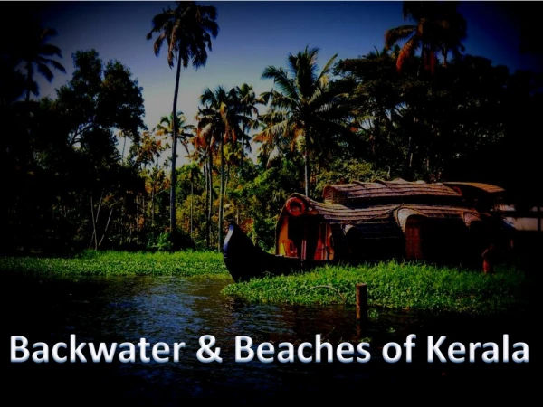 Backwater &amp; Beaches of Kerala