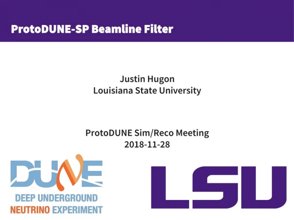 ProtoDUNE-SP Beamline Filter