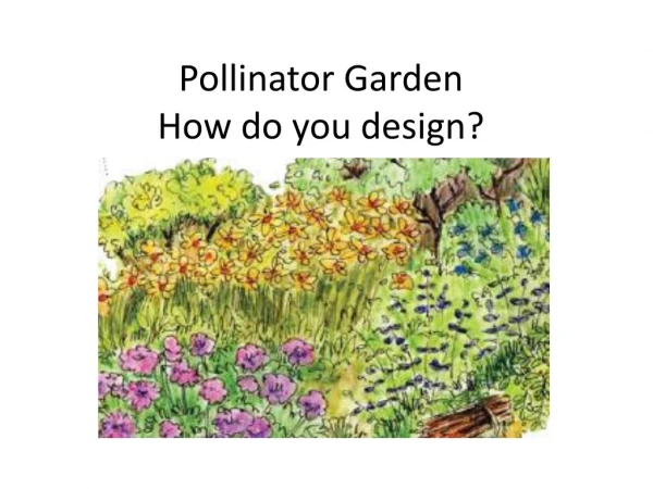 Pollinator Garden How do you design?