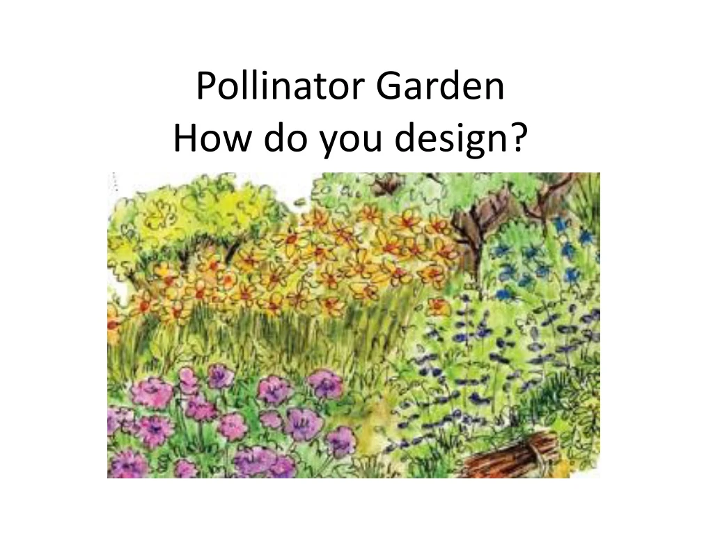 pollinator garden how do you design