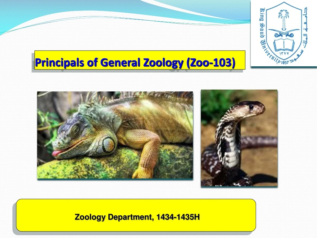 principals of general zoology zoo 103