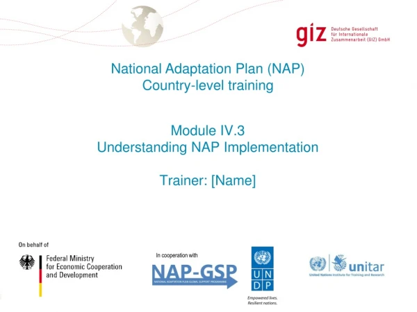 Module IV.3 Understanding NAP Implementation Trainer: [Name]