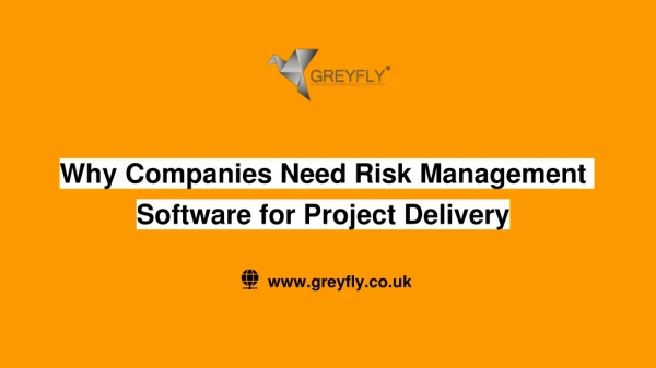 Risk Management Software For Project Delivery