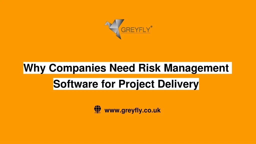 why companies need risk management software