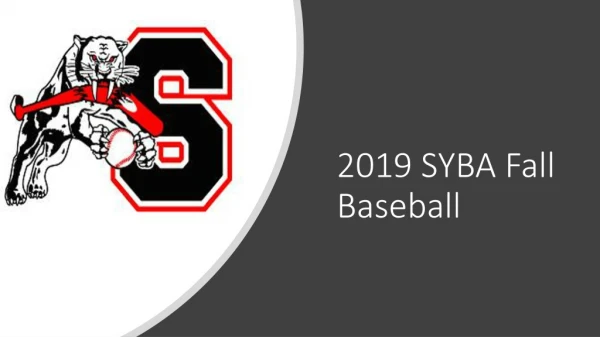 2019 SYBA Fall Baseball