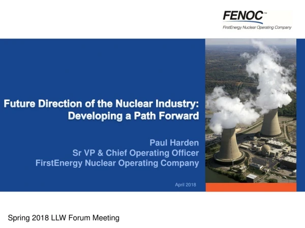 Future Direction of the Nuclear Industry: Developing a Path Forward