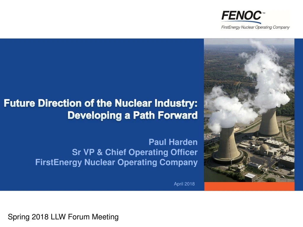 future direction of the nuclear industry developing a path forward