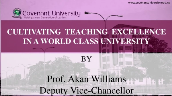 CULTIVATING TEACHING EXCELLENCE IN A WORLD CLASS UNIVERSITY