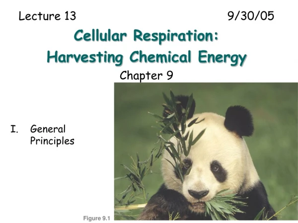 Lecture 13						9/30/05 Cellular Respiration: Harvesting Chemical Energy Chapter 9