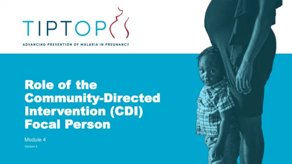 Role of the Community-Directed Intervention (CDI) Focal Person