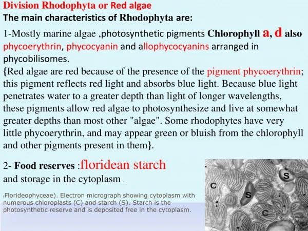 Division Rhodophyta or Red algae The main characteristics of Rhodophyta are: