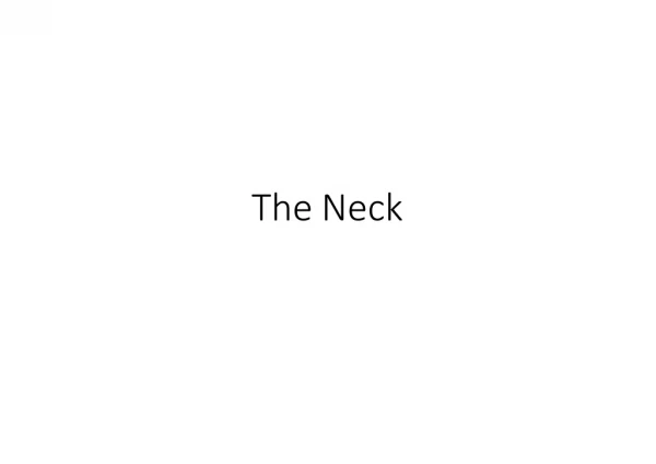 The Neck