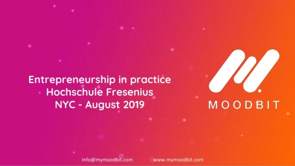 Entrepreneurship in practice Hochschule Fresenius NYC - August 2019
