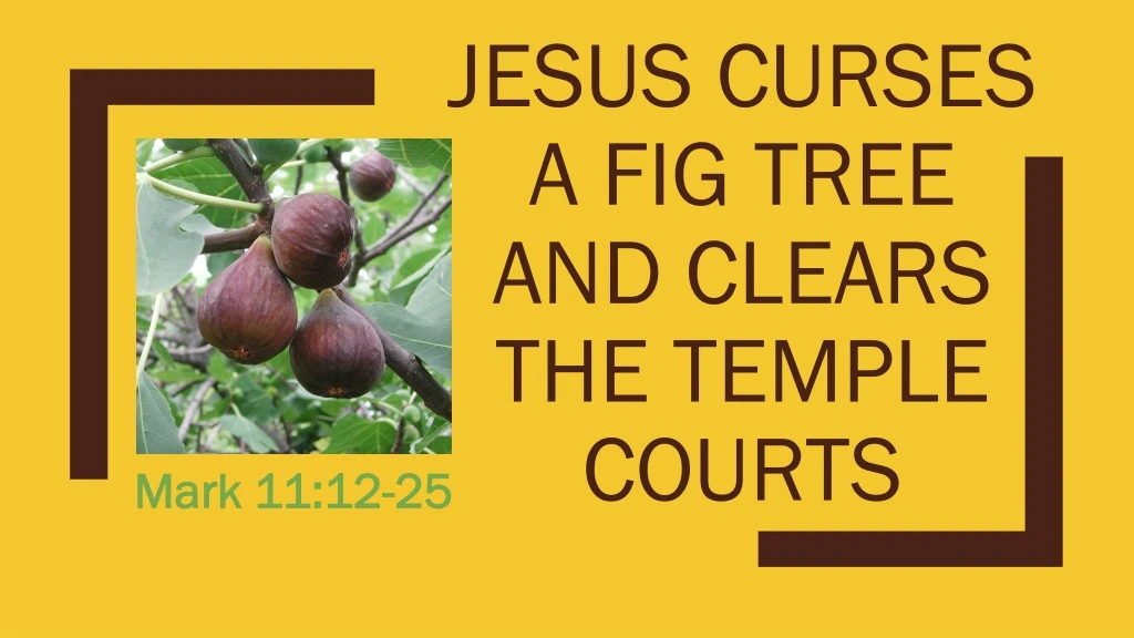 jesus curses a fig tree and clears the temple courts