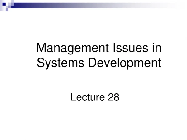 Management Issues in Systems Development