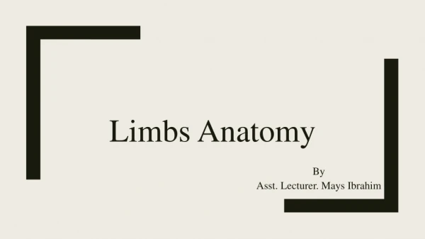 Limbs Anatomy