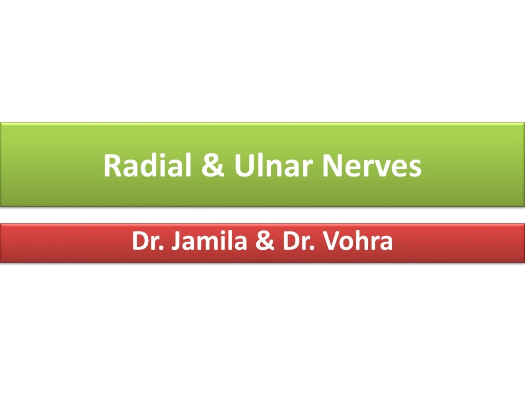 radial ulnar nerves