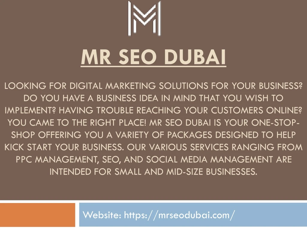 mr seo dubai