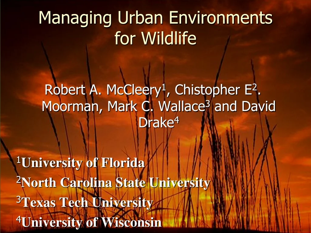 managing urban environments for wildlife