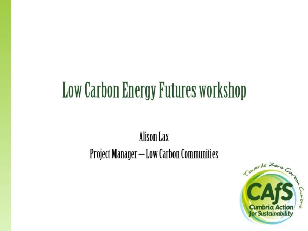 Low Carbon Energy Futures workshop