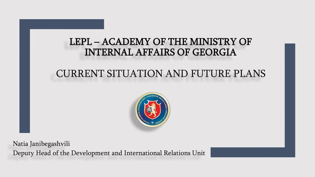 lepl academy of the ministry of internal affairs of georgia current situation and future plans