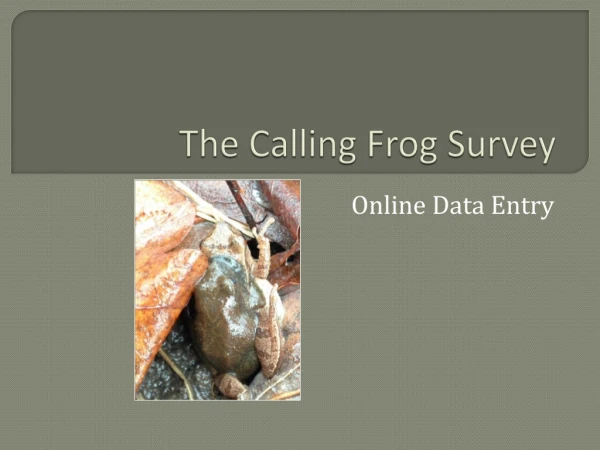 The Calling Frog Survey
