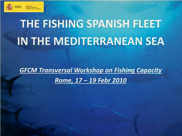 THE FISHING SPANISH FLEET IN THE MEDITERRANEAN SEA GFCM Transversal Workshop on Fishing Capacity
