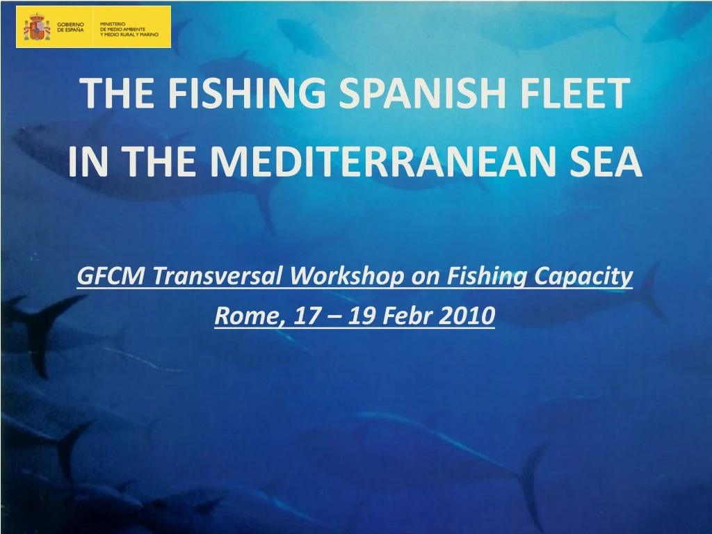 the fishing spanish fleet in the mediterranean