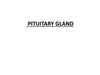 PITUITARY GLAND