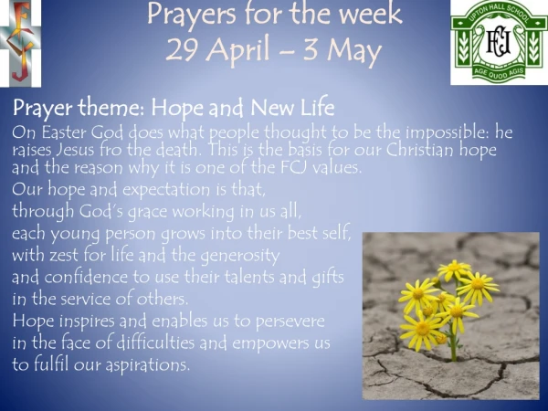 Prayers for the week 29 April – 3 May