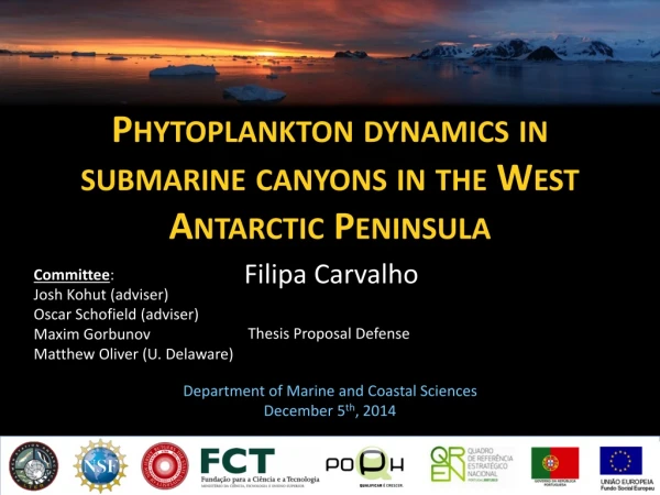 Phytoplankton dynamics in submarine canyons in the West Antarctic Peninsula