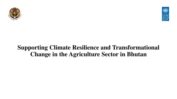 Supporting Climate Resilience and Transformational Change in the Agriculture Sector in Bhutan