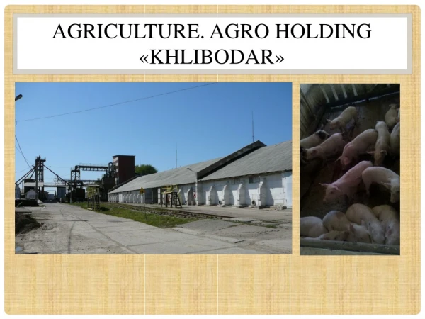 Agriculture . AGRO Holding « KHLiBODAR »