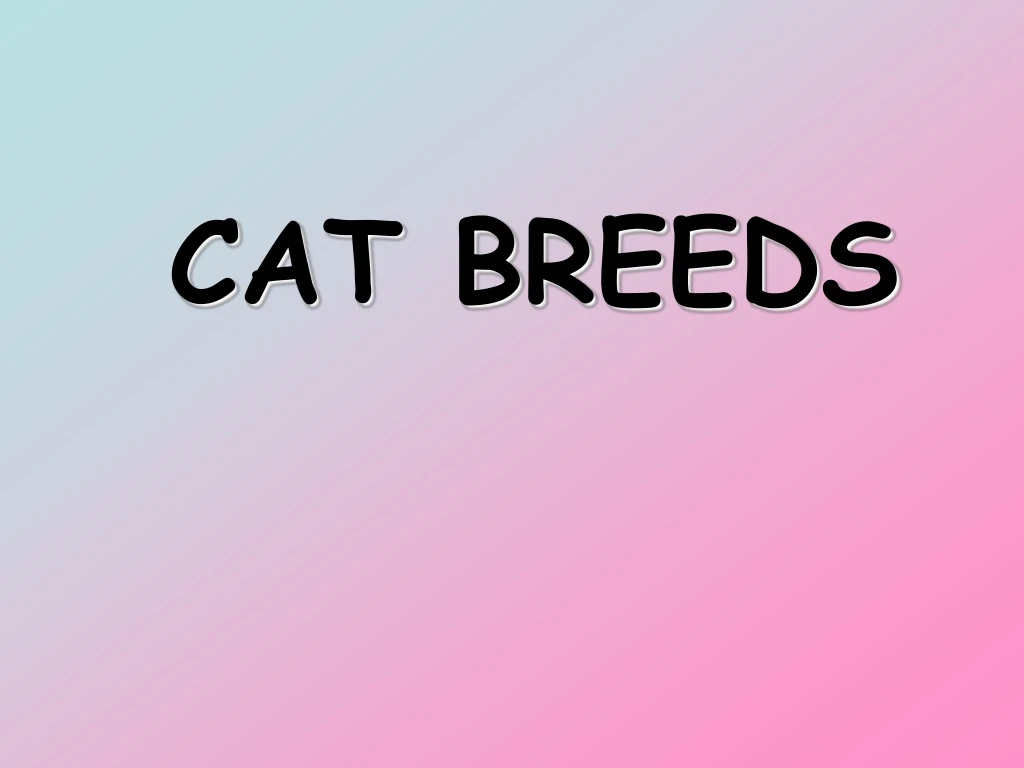 cat breeds