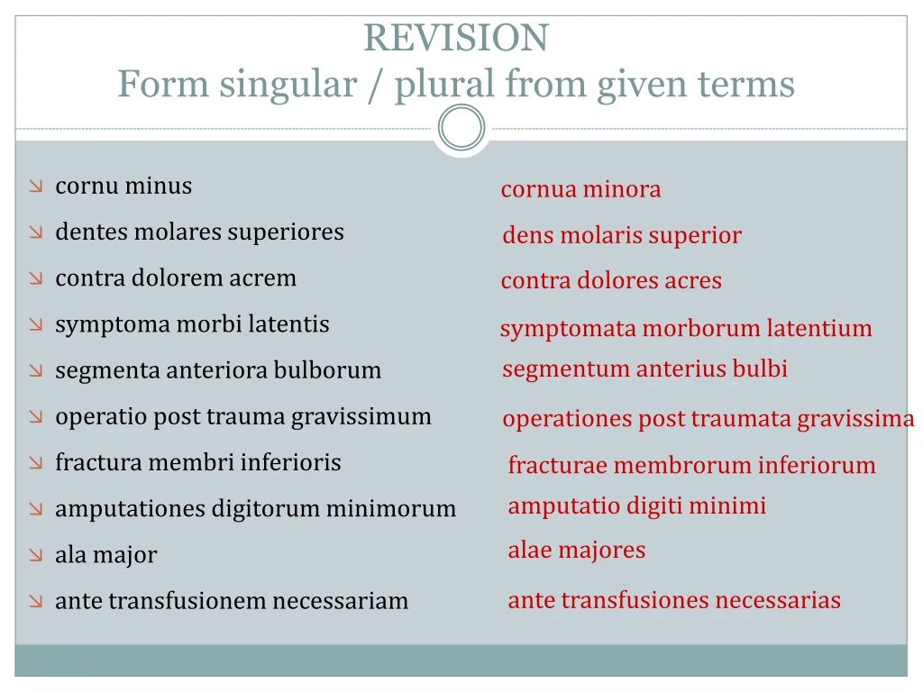 revision form singular plural from given terms